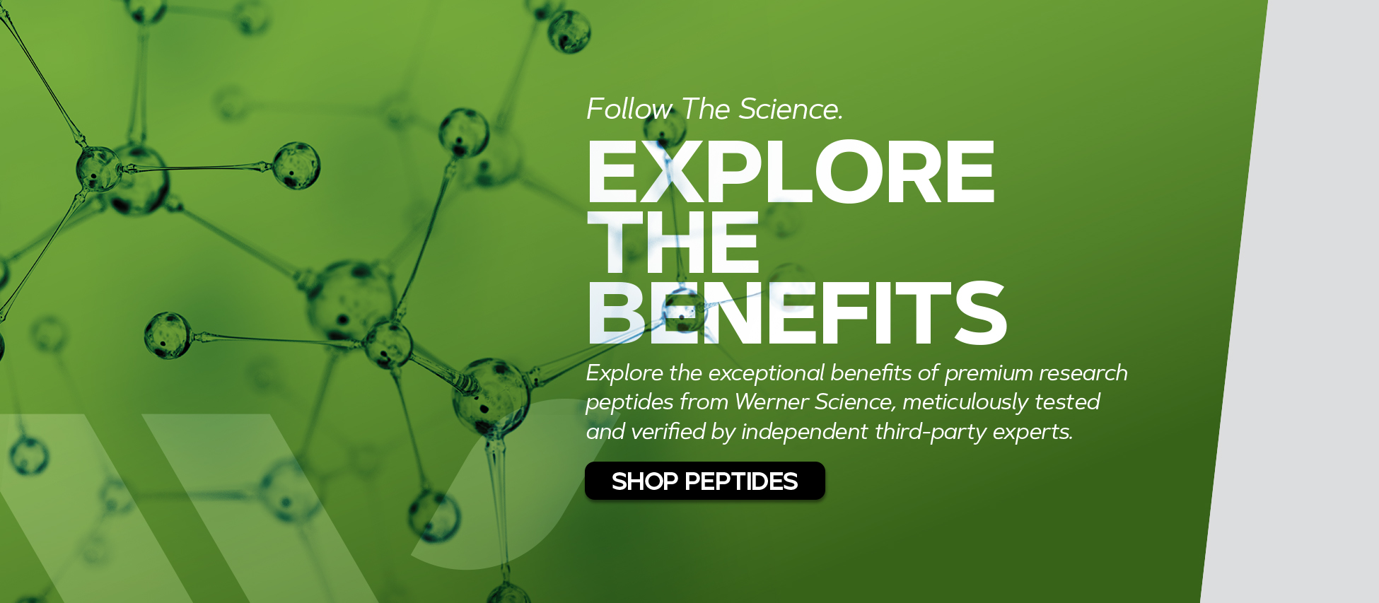 benefits of werner science